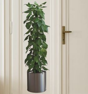 Saksılı Bitki Tasarımlı Yapışkanlı Sticker Resim 90*30 cm MC-665