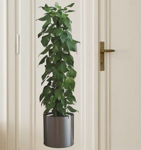 Saksılı Bitki Tasarımlı Yapışkanlı Sticker Resim 90*30 cm MC-665